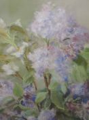 A pastel sketch, Conni Ashworth, Lilac, monogrammed, and attributed verso, 51 x 33cm, framed and