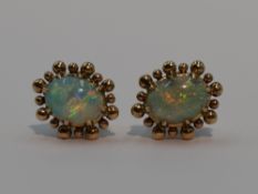 A pair of stud earrings having oval light opal cabouchons in yellow metal claw set ball mounts,