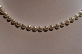 A string of cultured pearls of even ivory colour with a 9ct gold circular clasp, approx 18'