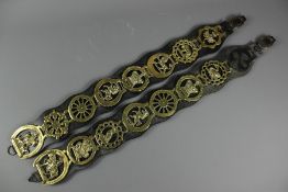A Pair of Fireside Brass Leathers