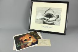 Hollywood Interest - Photographs
