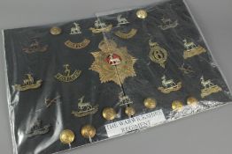 Military Insignia