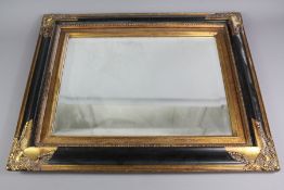 Two Bevelled Mirrors