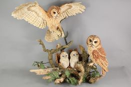 Country Artists Sculpture - The Owls Oak
