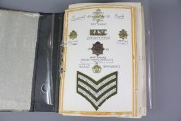 Interesting Collection of Various Military Insignia