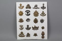 Carded Display of 20 Officers Service Dress Collar Badges