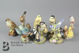 Eight Royal Worcester Woodland and Garden Birds