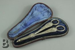Pair of Grape Scissors