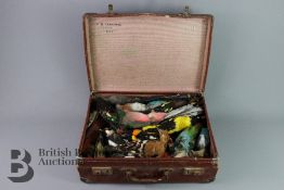 Colourful Array of Taxidermy Birds
