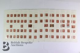 1d Red Stars Plate 27 Complete Reconstruction including Multiples and much of interest