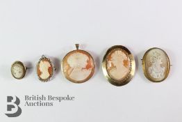 Shell Cameos in Gold Mounts