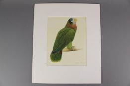 Elizabeth Butterworth Limited Edition Print