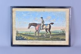 Hand coloured engraving 