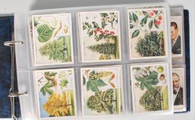 A collection of vintage 20th Century W. D. & H. O. Wills cigarette trade cards in full sets stored