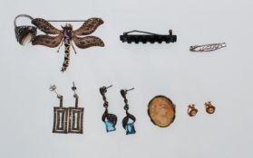 A collection of jewellery to include a plique a jour dragonfly brooch, jet brooch, silver