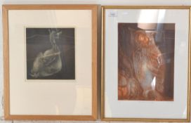 Jean Hinde - A 20th Century limited edition etching entitled 'Owl Caught in the Light', limited