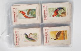 A selection of Holloway's Natural History trade cards to include Birds 1-39, and animals 1-39. Set