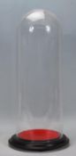 A 20th Century tall glass display dome set to a dark socle base with red velvet liner. Measuring