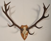 A 20th Century retro vintage large taxidermy set of stag antlers. The twelve point set of horns
