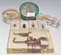 A vintage retro 20th Century acrylic Lucite paperweight / pen holder encasing an arrangement of