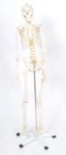 20TH CENTURY ANATOMICAL MODEL OF A HUMAN SKELETON