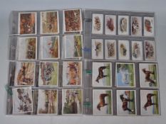 A group of four vintage cigarette trade cards in full sets to include Players Country Sport Series