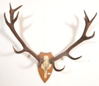 A 20th Century retro vintage large taxidermy set o