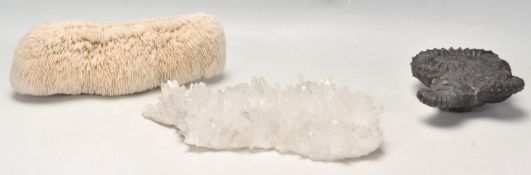 A group of three Geological interest mineral specimens to include a black stone fossil specimen,