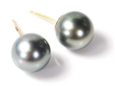 A pair of South Sea grey pearl earrings mounted on yellow gold posts. 10mm diameter. Weighs 2.6g.