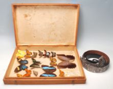 A collection of vintage cased exotic taxidermy butterfly’s in a wooden display case to include