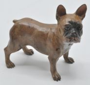A vintage cold painted bronze figurine of a French bulldog having painted detailing in the manner of