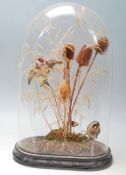 VICTORIAN TAXIDERMY SPECIMEN BIRD GROUP WITH CLOCHE AND WOODEN BASE