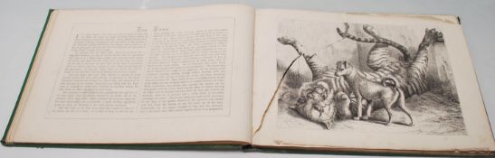 THE NATURAL HISTORY SCRAP BOOK - 1800'S BOOK WITH ILLUSTRATIONS