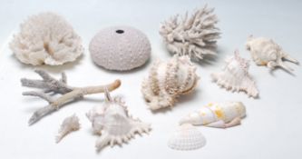 A collection of vintage shells and corals to include various branch corals specimens, conch