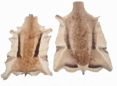 TWO AFRICAN IMPALA SKIN HIDE CARPET RUGS