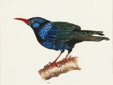 20th Century English School. A Study of a Starling, Watercolour, Initialled and Dated, along with