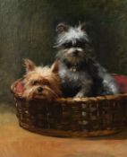 Early 20th Century English Schools. Two Terriers in a Basket, Oil on Canvas, 22