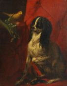 19th Century English School. Seated Spaniel with Bird and Flowers, Oil on Canvas, 20.5