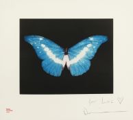 Damien Hirst (b.1965) British. Blue Butterfly, Happy Christmas 2008, Offset Lithograph, 10