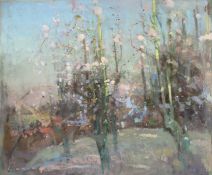 Fred Cuming (b.1930) British. 'Old Pear Trees', A Scene of Trees in Blossom, Oil on Board, 28