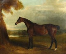 John Ferneley Junior (1815-1862) British. Portrait of a Horse belonging to Colonel Prickett,