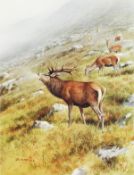 Rodger McPhail. Game Birds and Wildlife, a Set of Six limited Edition Prints, Signed in Pencil by