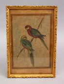A GOOD FRAMED MINIATURE COLOURING OF TWO BIRDS UPON BRANCH, 24cm x 16cm.