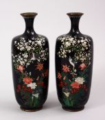 A PAIR OF JAPANESE MEIJI PERIOD CLOISONNE VASES, each with a scene of native flora with birds in