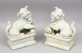 A PAIR OF CHINESE CELADON CARVED PORCELAIN LION DOGS, each dog moddled upon a stylized base with its