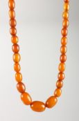 A VERY GOOD STRING OF AMBER BEADS.
