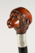 A RARE ARTICULATED HEAD HANDLE WALKING STICK, formed as a talking monkey. 35ins long.
