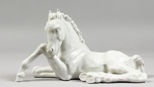 A MEISSEN WHITE GLAZED HORSE LYING DOWN. Crossed swords mark in blue. No. A1195. 8ins long.