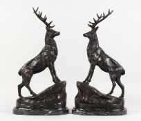 AFTER MOIGNIEZ, A PAIR OF SMALL BRONZE STAGS ON ROCKS mounted on marble bases. 17ins high.