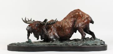 A GOOD LARGE PAINTED BRONZE MODEL OF MOOSE IN A RIVER, mounted on a marble base. 24ins long.